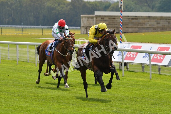 yr12052021r1-36 - Race 1 1.40pm Sky Bet Race to the Ebor Jorvik Stakes
