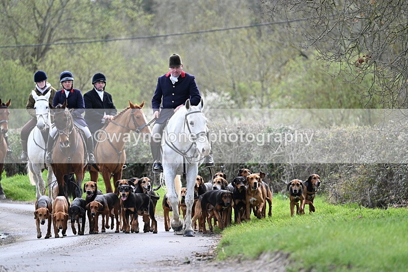 WJ7_9765 - Walk Home