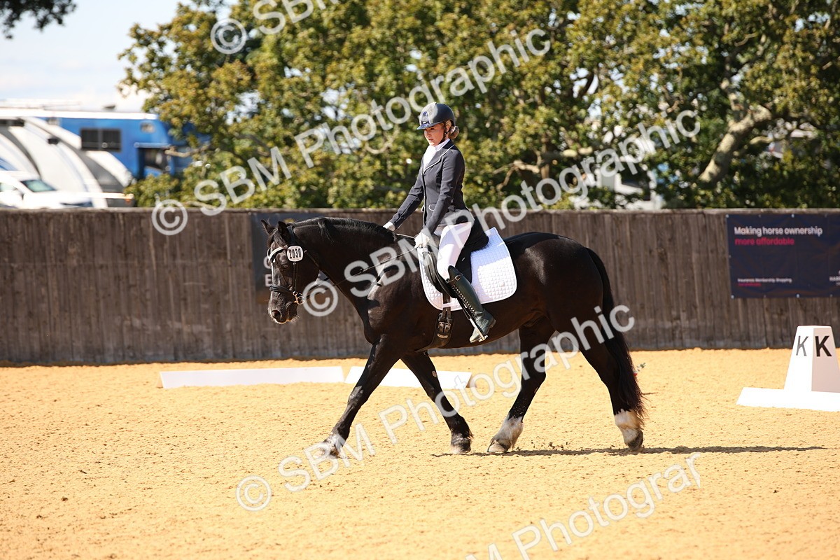 SBM_24221 - D5 - Small Tour Championship - Intro C