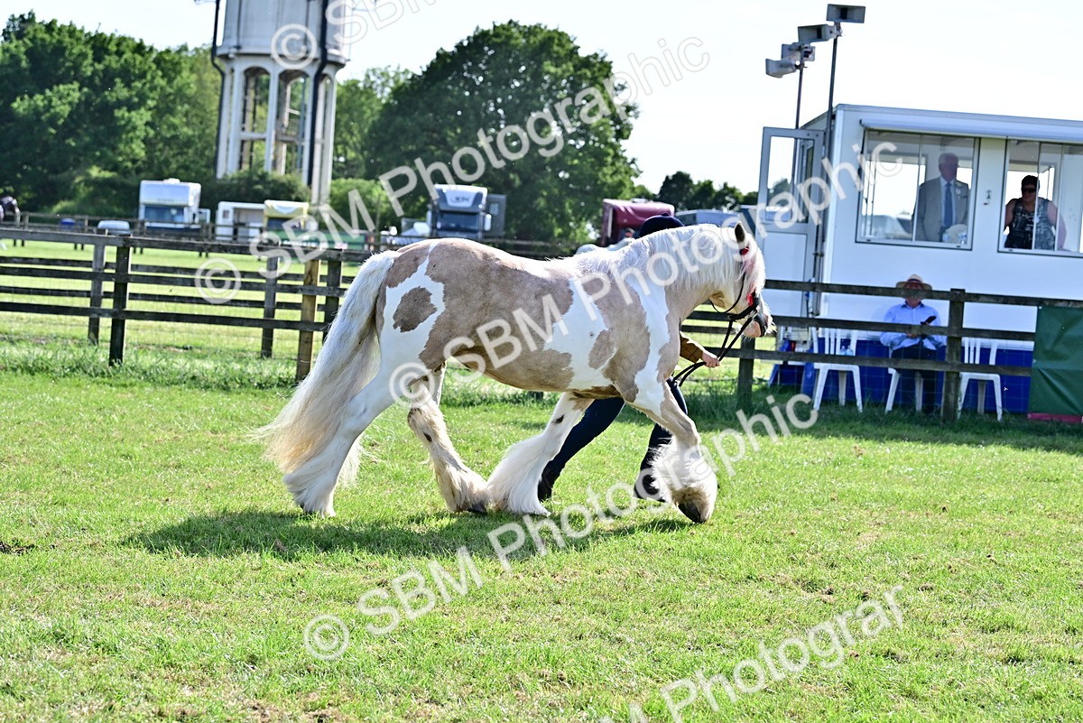 SBM_10130 - Class 63-65 - Traditional Gypsy Cobs In Hand & Ridden