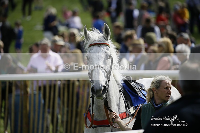 PtP 180422 32 - Old Berkshire PtP Lockinge 18/04/22