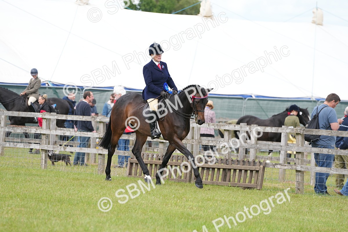 SBM_16001 - Class 103-104 - RIHS Hacks