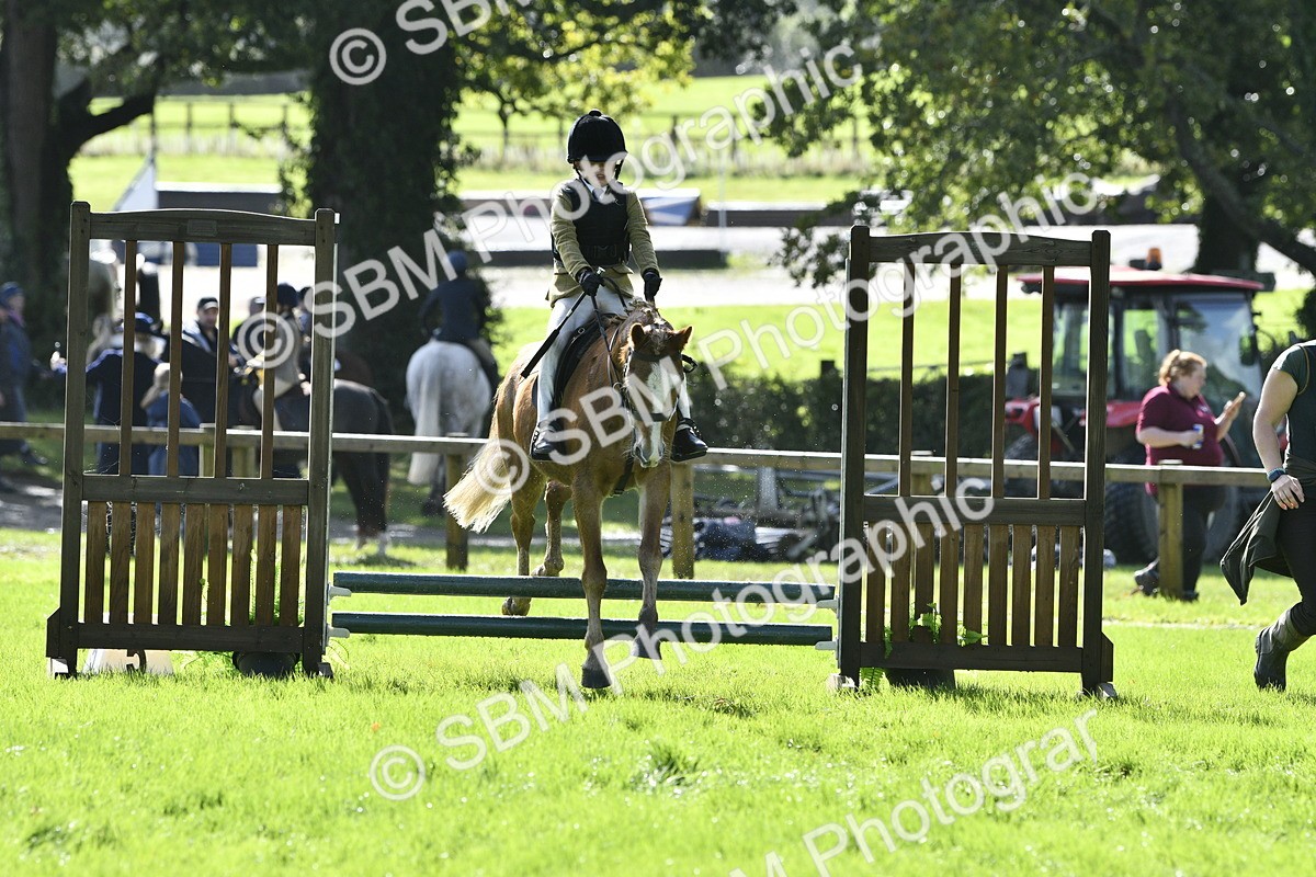 SBM_38228 - S31 - Novice & Newcomer Working Hunter Pony