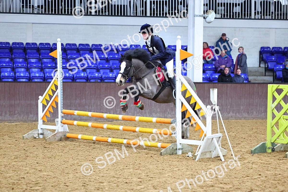 SBM_001264 - Class 3 - Christmas Tree Stakes - 60cm