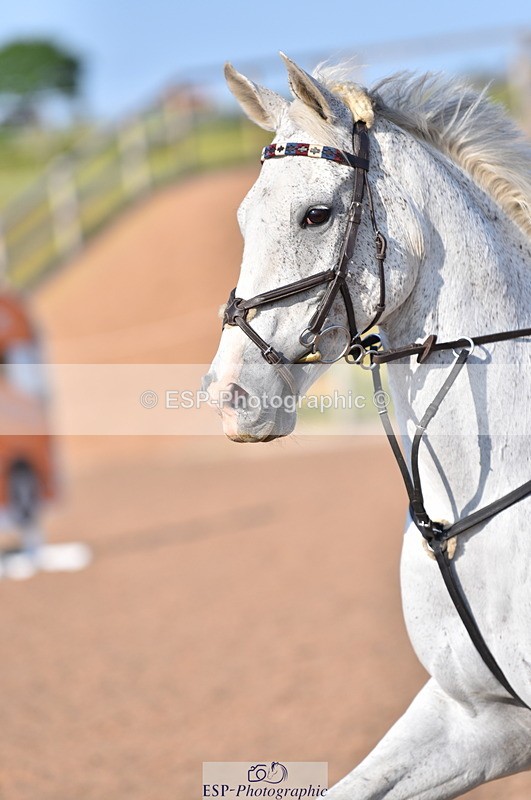 230606A-182151-00353 - 90cm