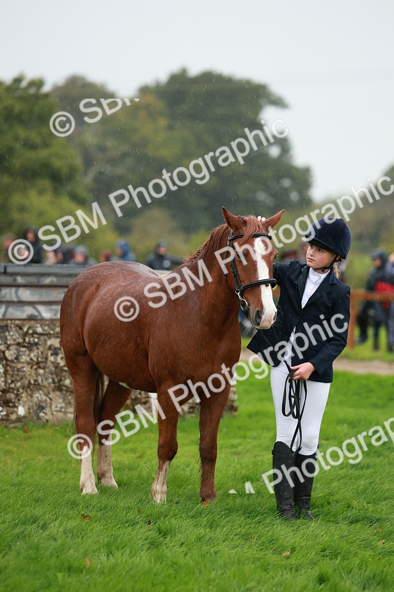 SBM_34910 - S10 - Best In Hand Horse & Pony