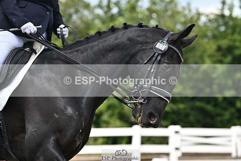 240621A-121030-02060 - Cls 7 BD Elementary 45