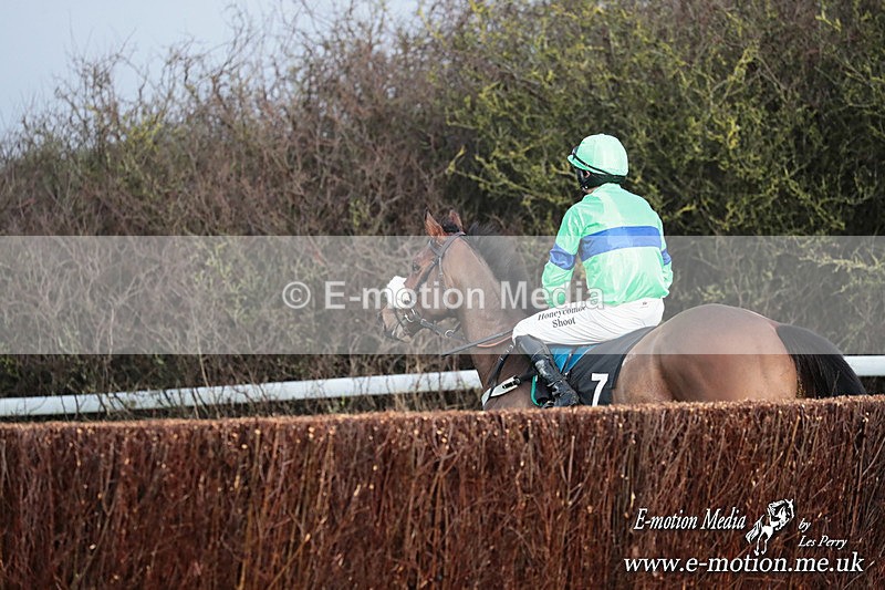 PtP 011224 147 - Hursley Hambledon Point-to-Point Larkhill 01/12/24