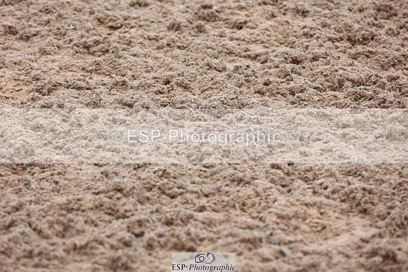 250314-123910-01937 - Cls 8+9 Foxhunter and 1.20m Open