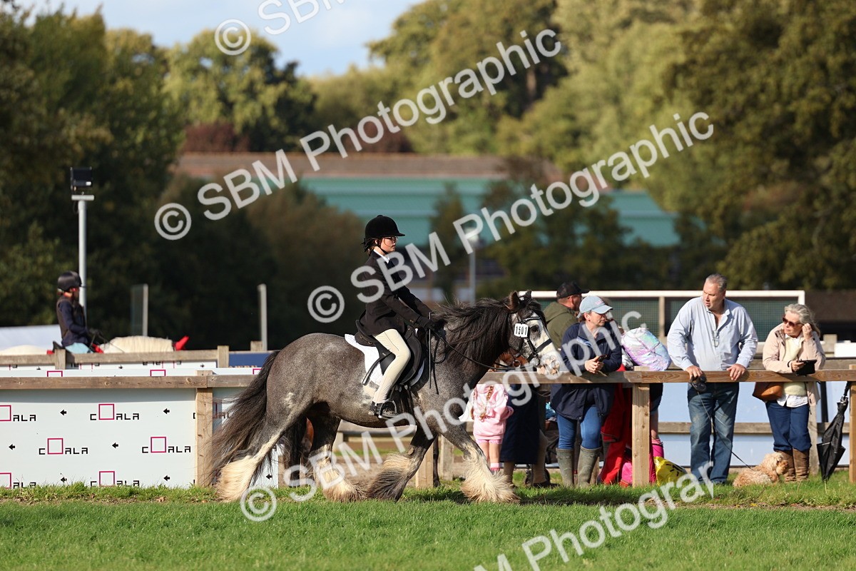 SBM_52480 - S13 - Pony Club Pony