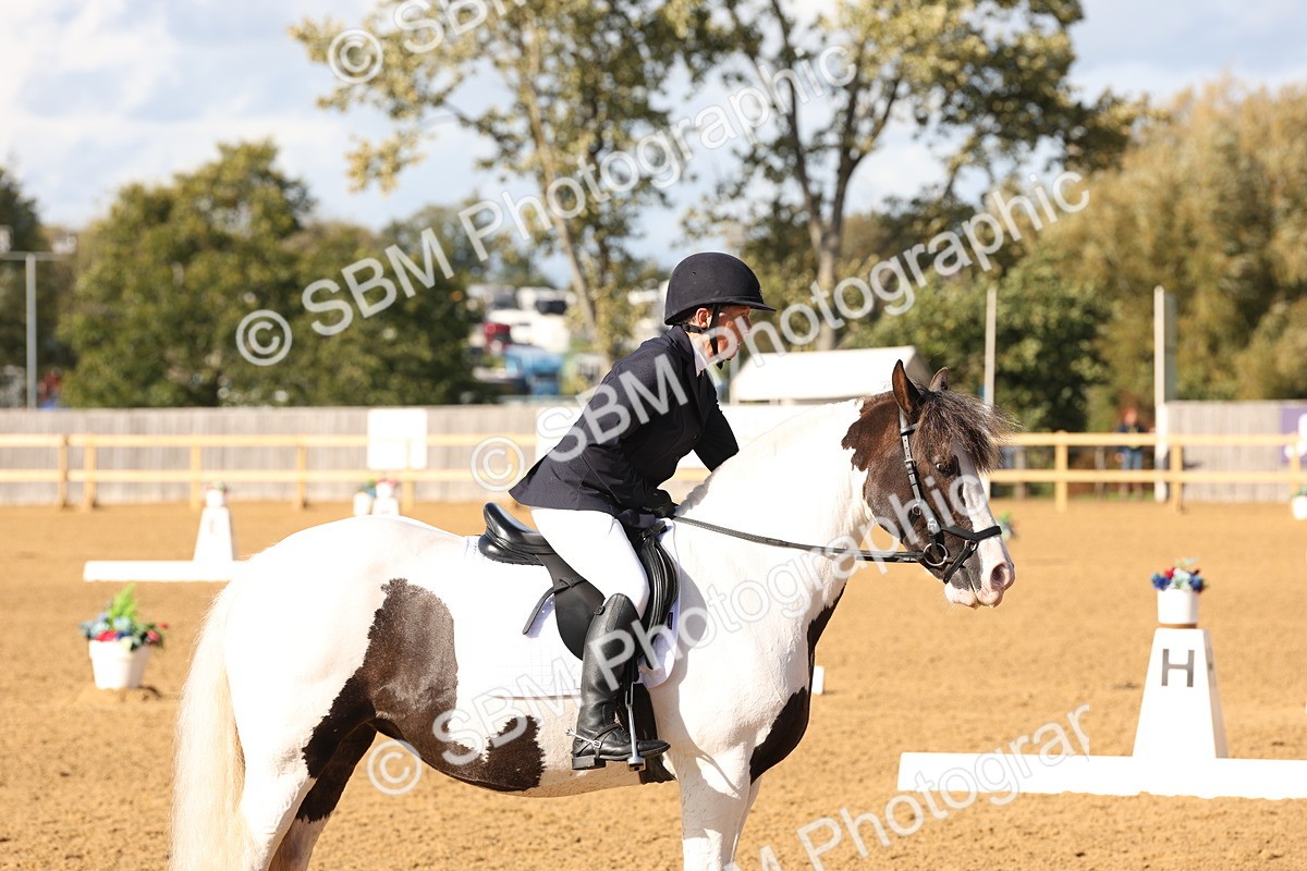 SBM_50447 - D12 - Small Tour Championship prelim 2