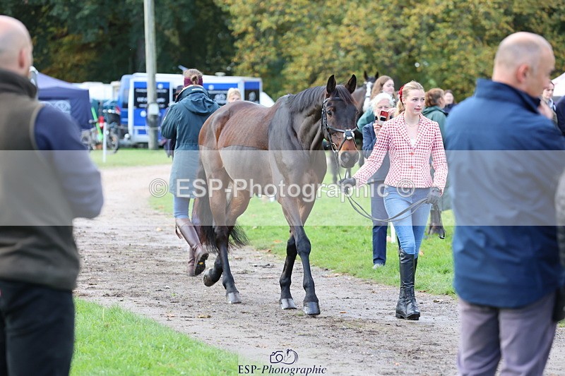 251026A-103327-23096 - E-397-Verity.Leggett