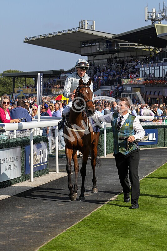 310824-Race 5-Bassadanza-1843 - Race 5