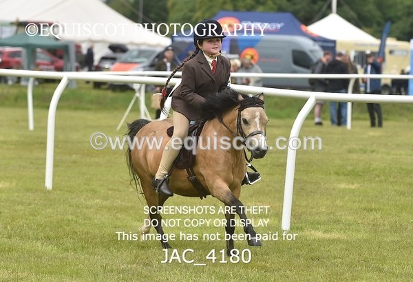 JAC_4180 - 30CM WORKING HUNTER