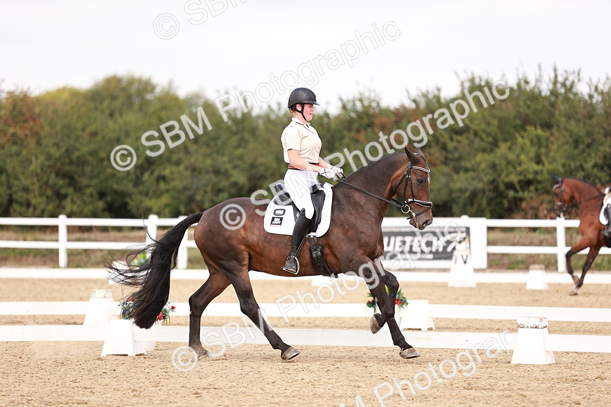 SBM_019222 - Class 20 - Medium 5