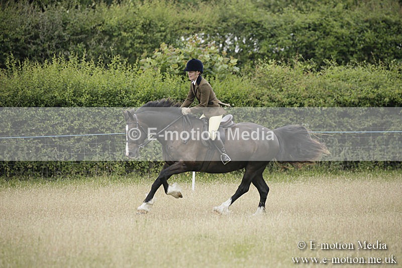 B230619-0097 - Bourne Valley Riding Club Summer Show 23/06/19