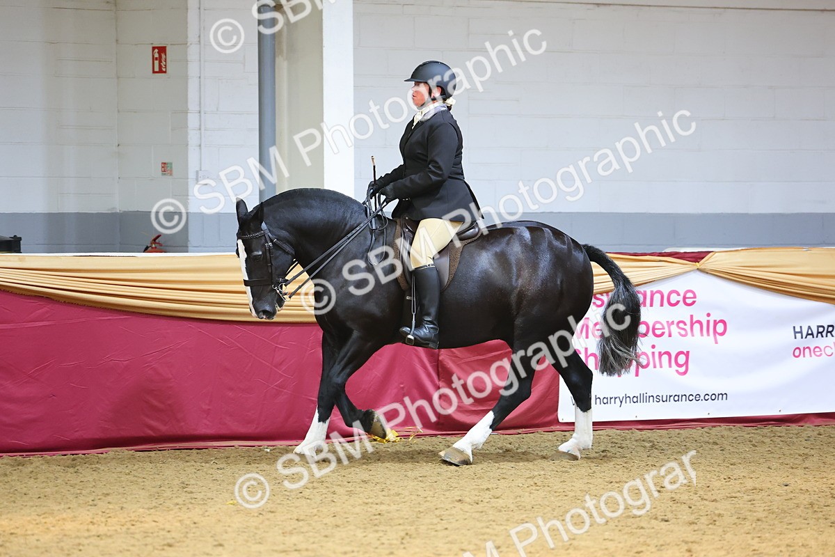 SBM_24164 - Class 905 - Supreme Final - Ridden Veteran