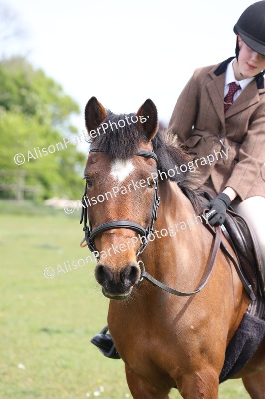20260426-3007 - Class 33 - Best Pony 14.2hh and Under