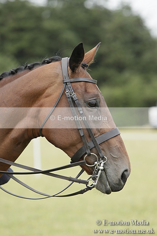 BVR160717-2394 - Side Saddle Classes 16/07/17