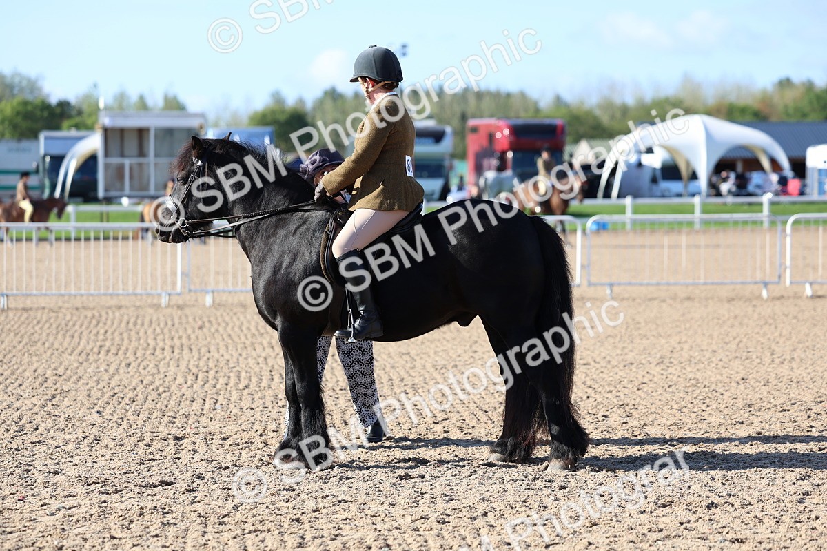SBM_08877 - Class 302 - Ridden M&M - Large Breeds