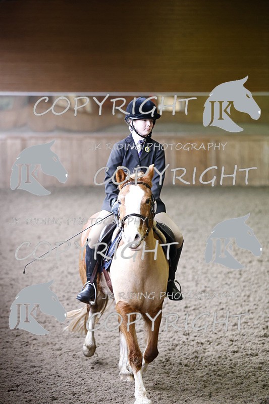 _R6A1377 - Class 1 walk trot 2022