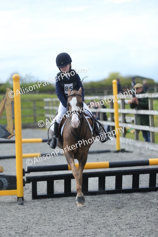 20260412-1738 - Show Jumping
