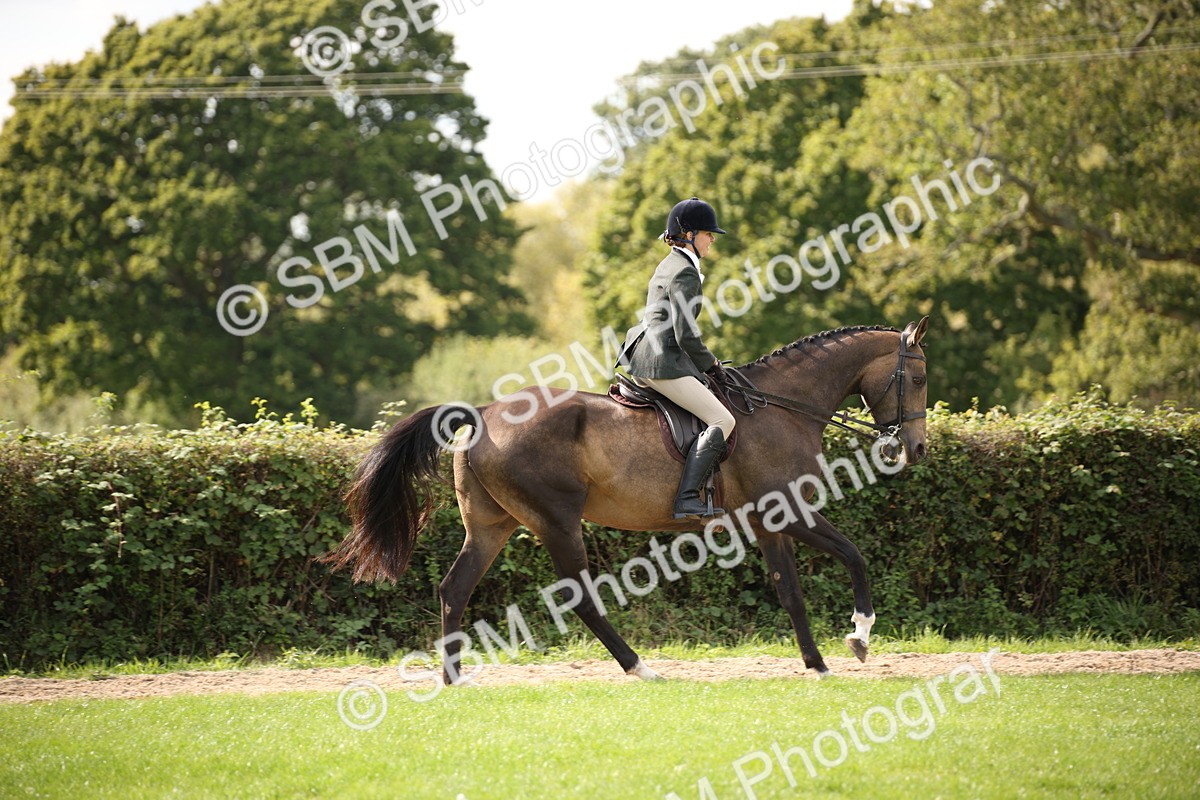 SBM_49973 - S26 - Young Veteran - Ridden