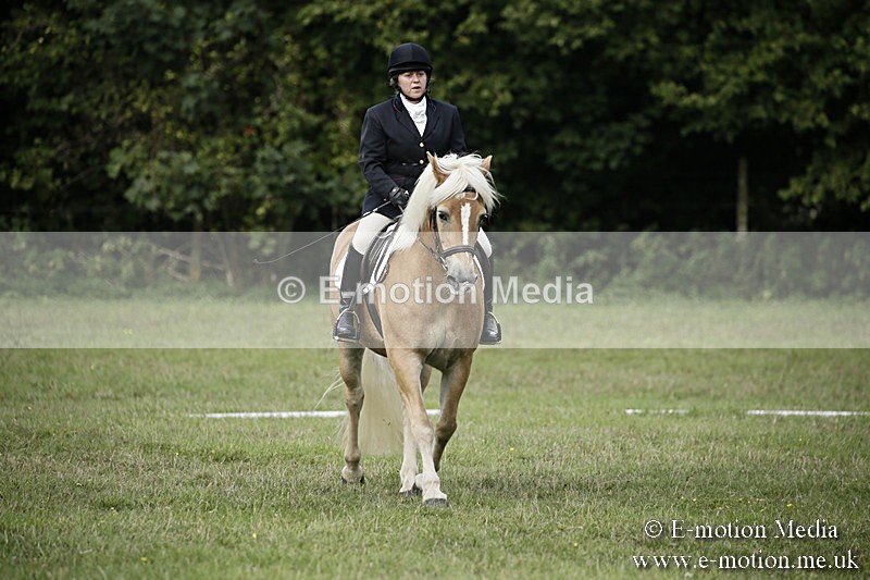 BVR090918 65 - BVRC Dressage and Show Jumping 09/09/18