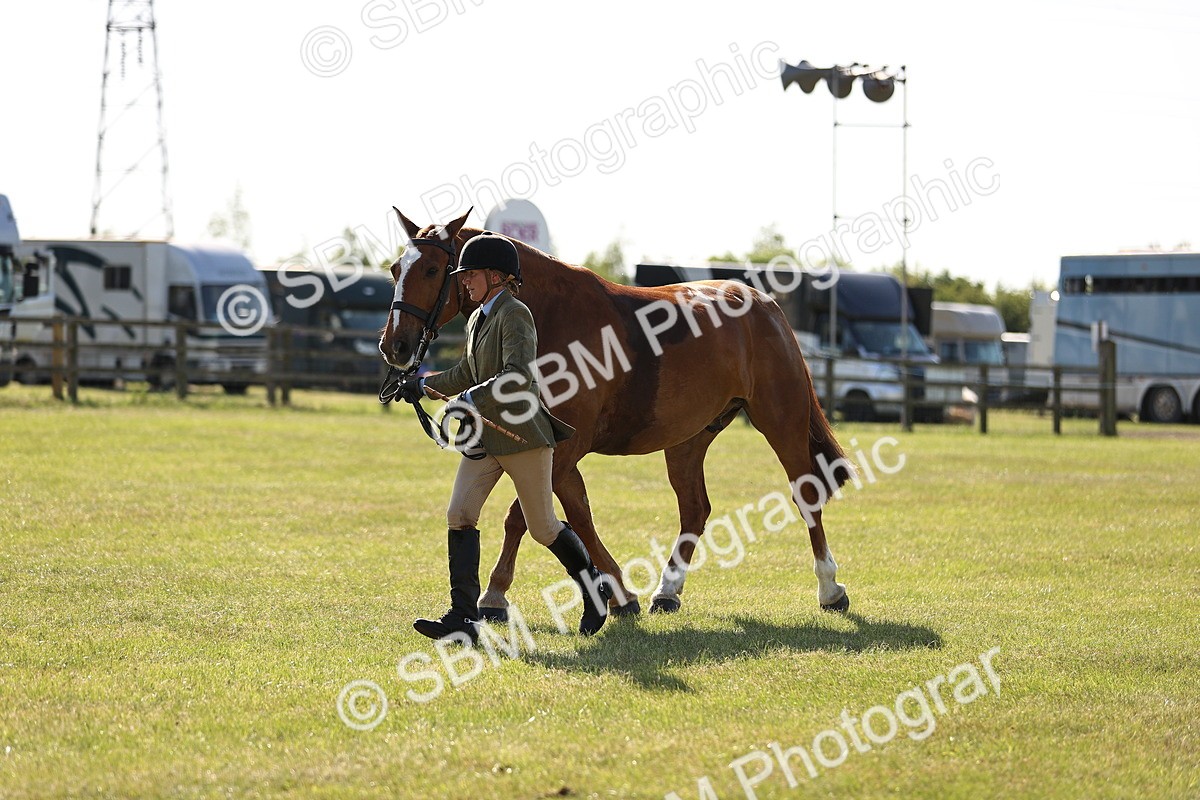 SBM_19689 - Class 87-88 - RIHS BSHA Riding Horses