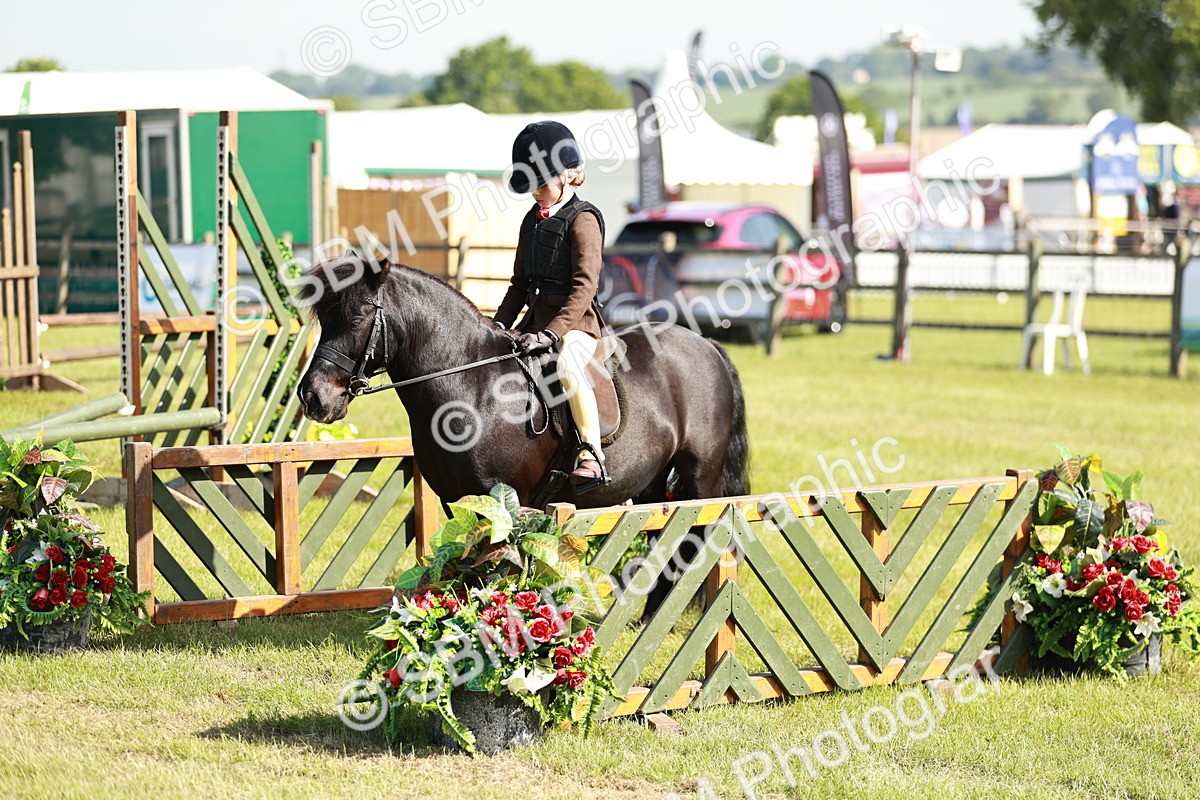 SBM_12593 - Class 106-107 - BSPS LIHS Working Sports Pony