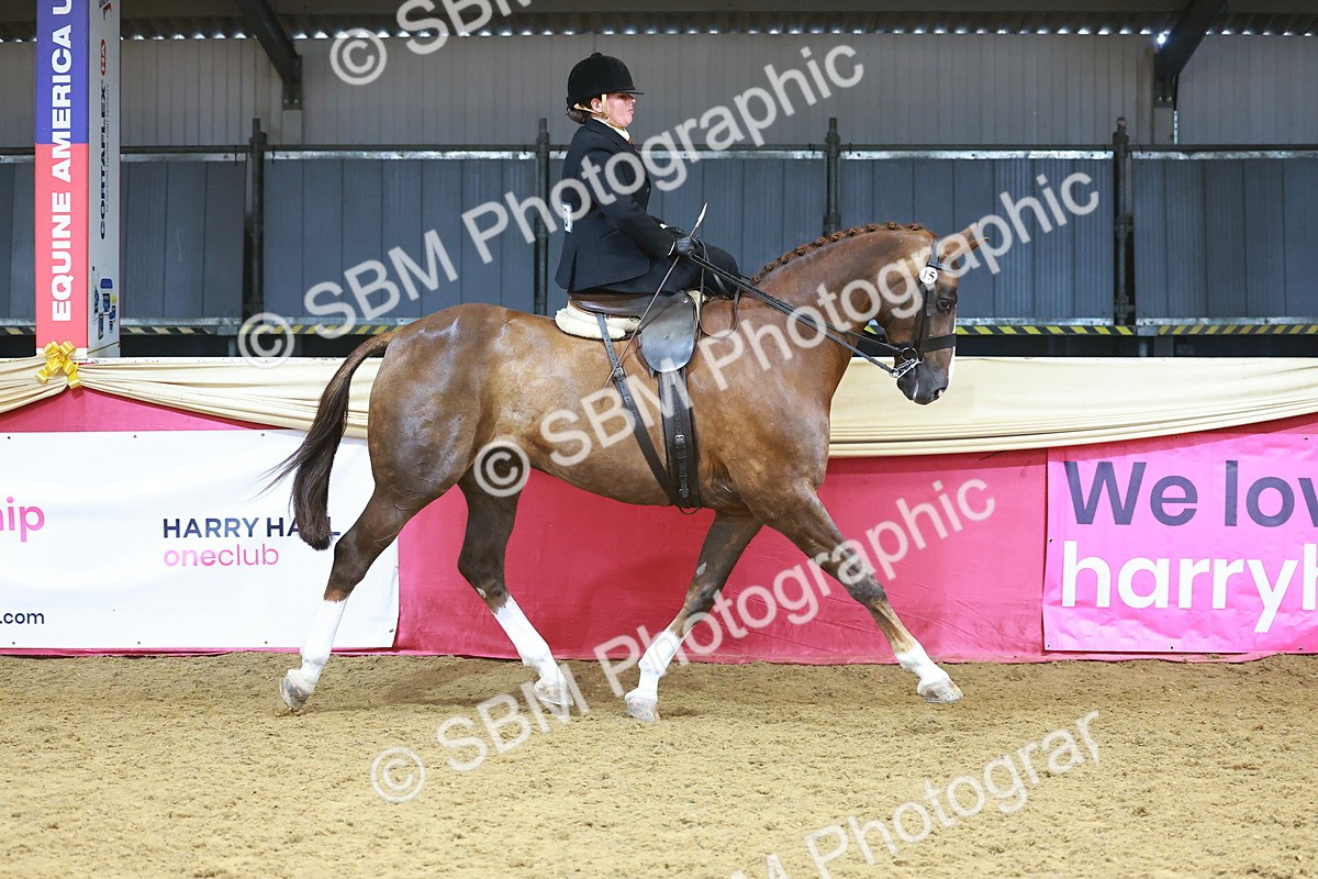 SBM_12471 - Class 103 - HOYS Veteran Qualifier - Ridden Pre Vet