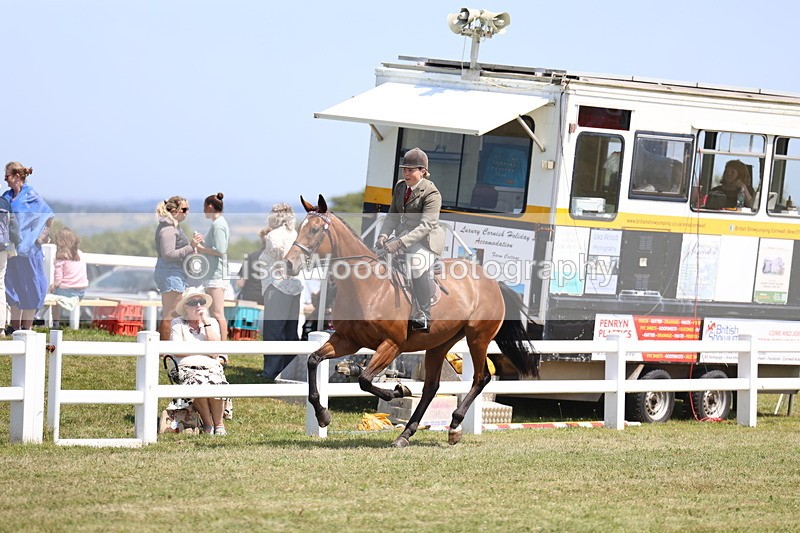 3E7A9362 - Class 12: Open Racehorse to Show Horse