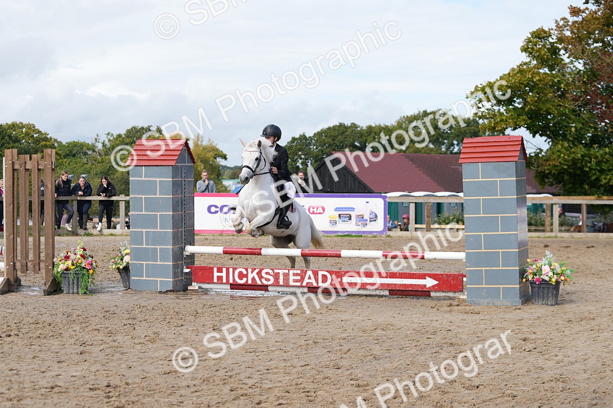 SBM_40796 - Supreme Championship Pony 50-55cm