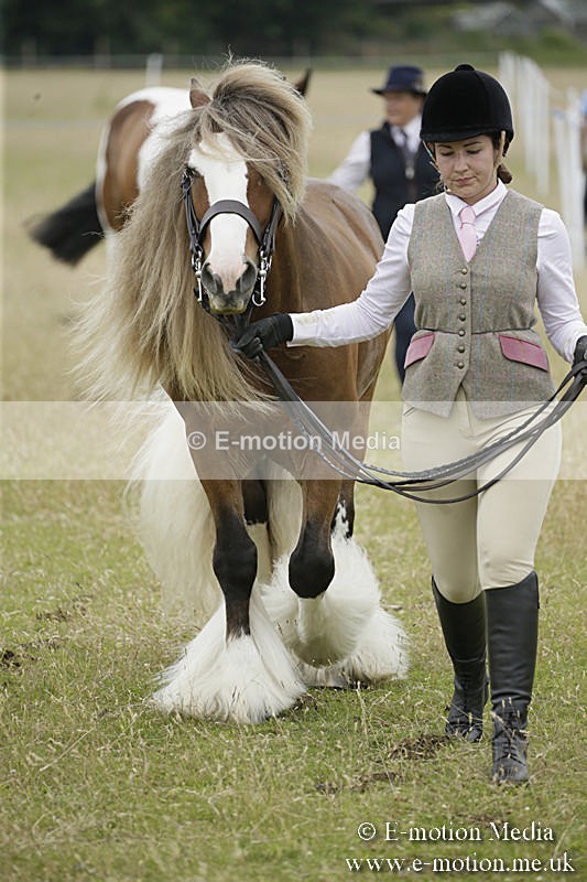 B230619-0748 - Bourne Valley Riding Club Summer Show 23/06/19