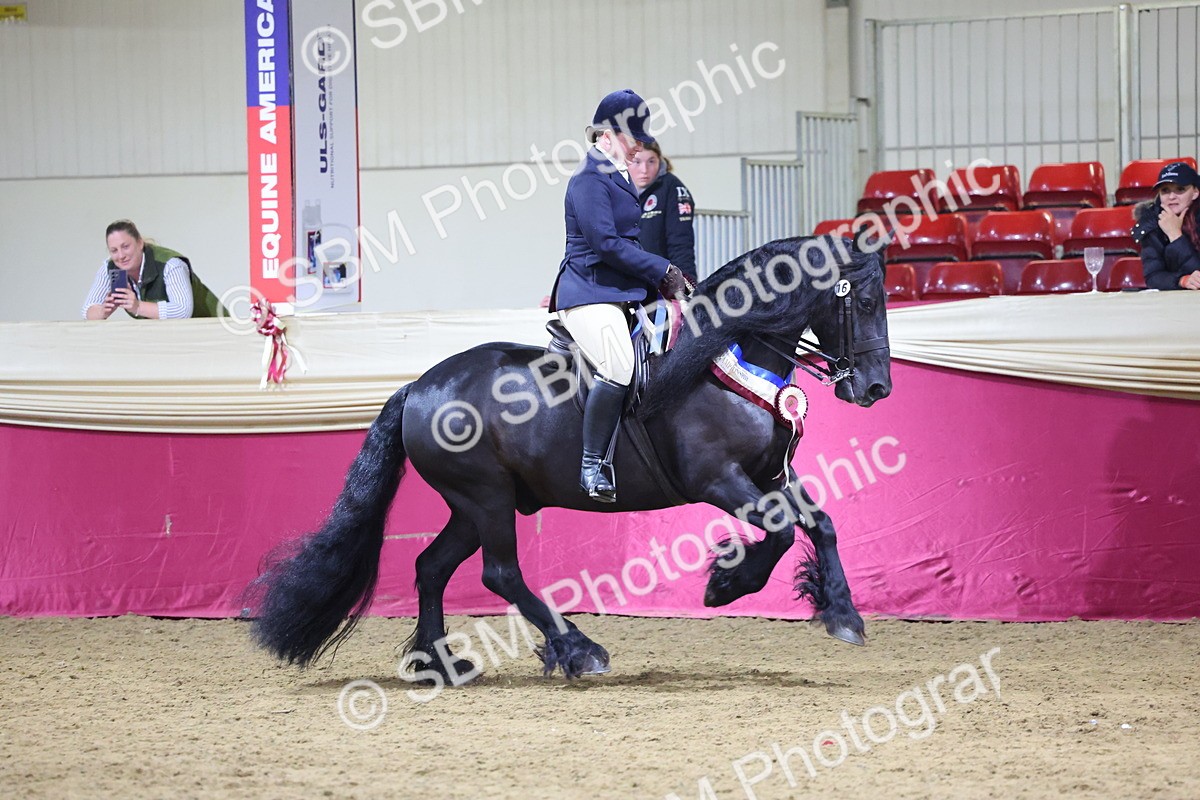 SBM_19302 - Class K Equitation Champ