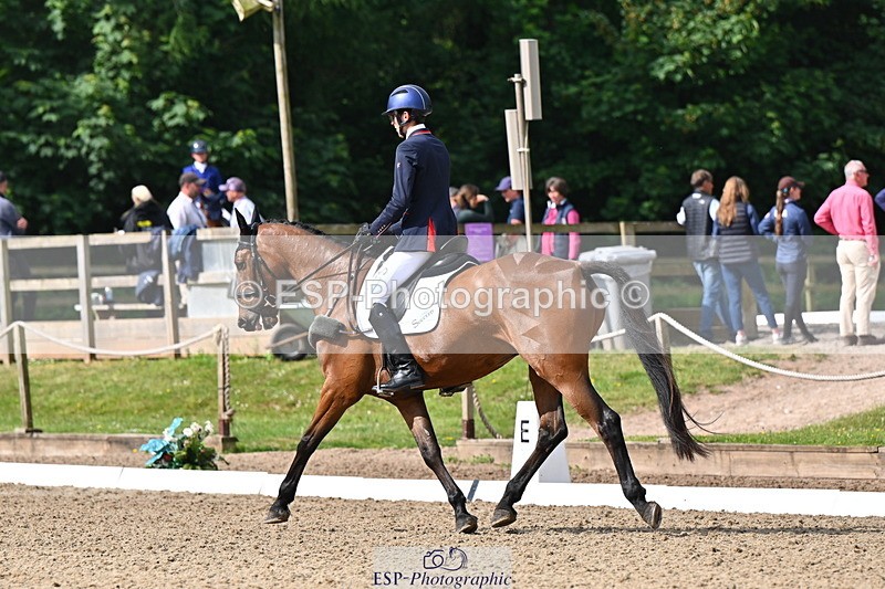 250523A-094032-05302 - C-258-Bill.Levett-ITALIAN.HARLEQUIN.NJ