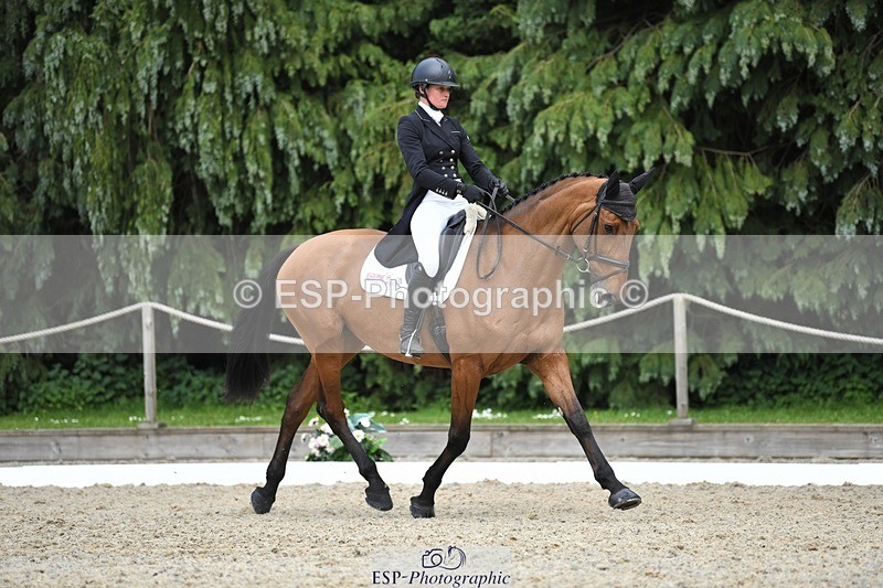 230525-153049-03265 - 327-ROMANTIC-Rosie_Fry-WEDTrotUp+DR