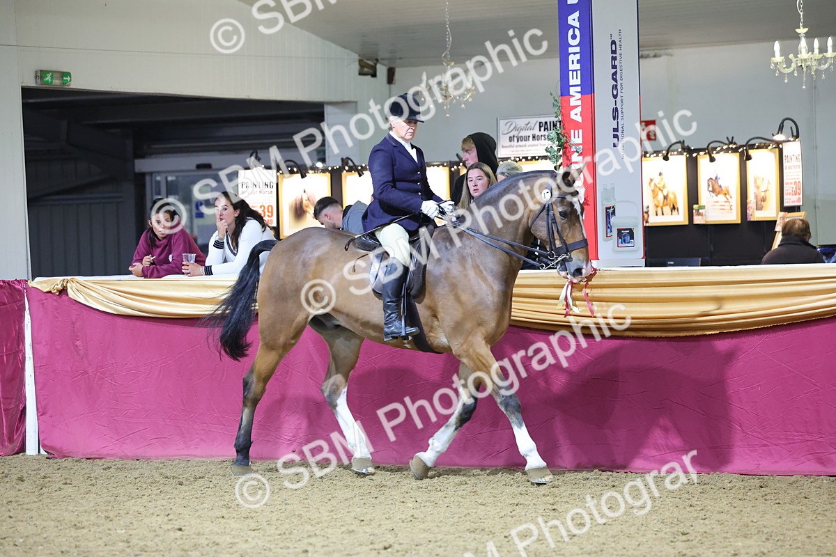 0B8A4482 - Class O Ridden Show Horse Champ