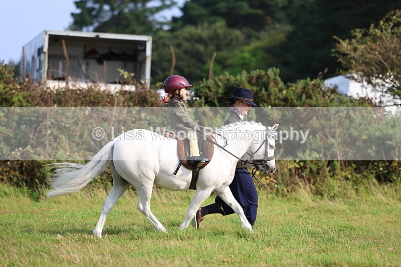 3E7A3357 - Class 2: Lead rein
