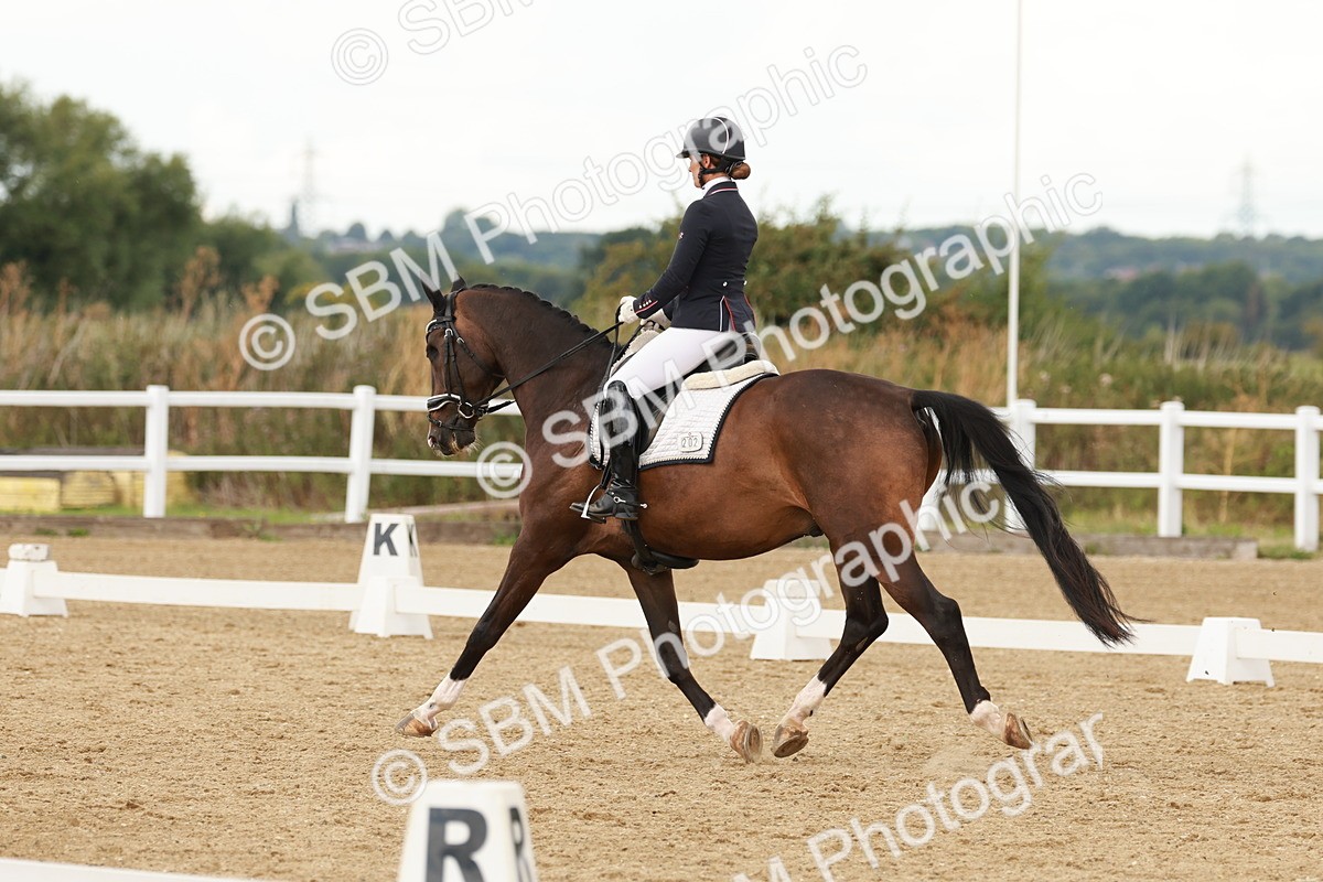 SBM_001911 - Class 8 - Elementary 6