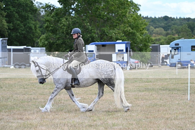 WJ7_4958 - Class 12 Ridden Cob