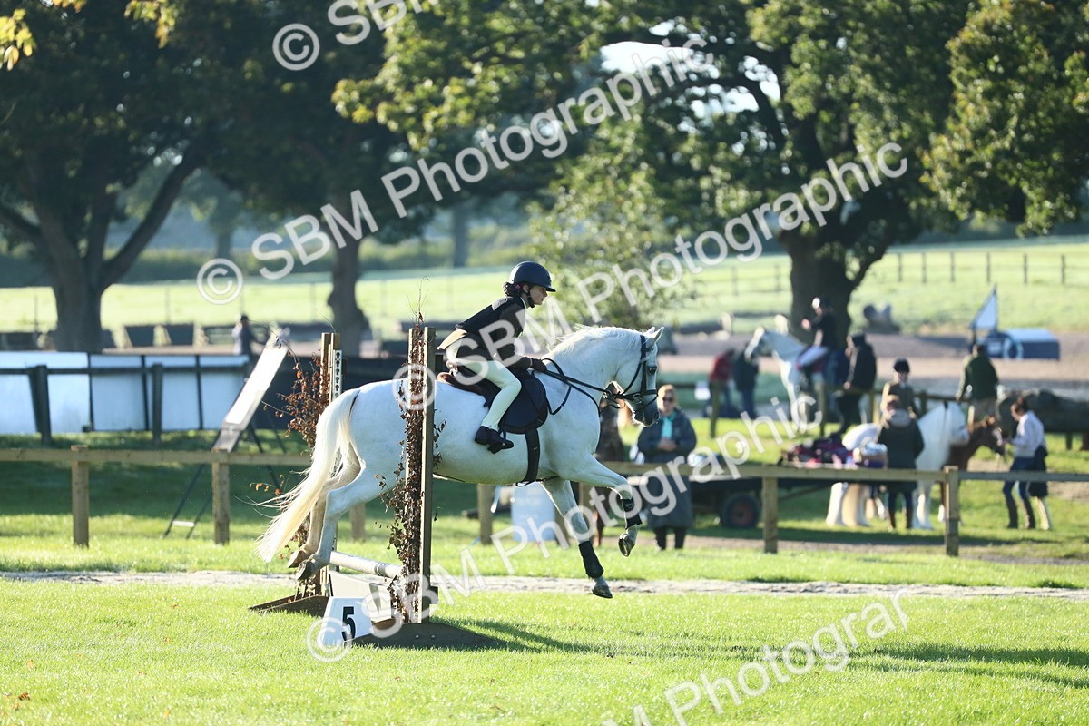 SBM_37361 - S29 - Novice & Newcomers Working Hunter Pony
