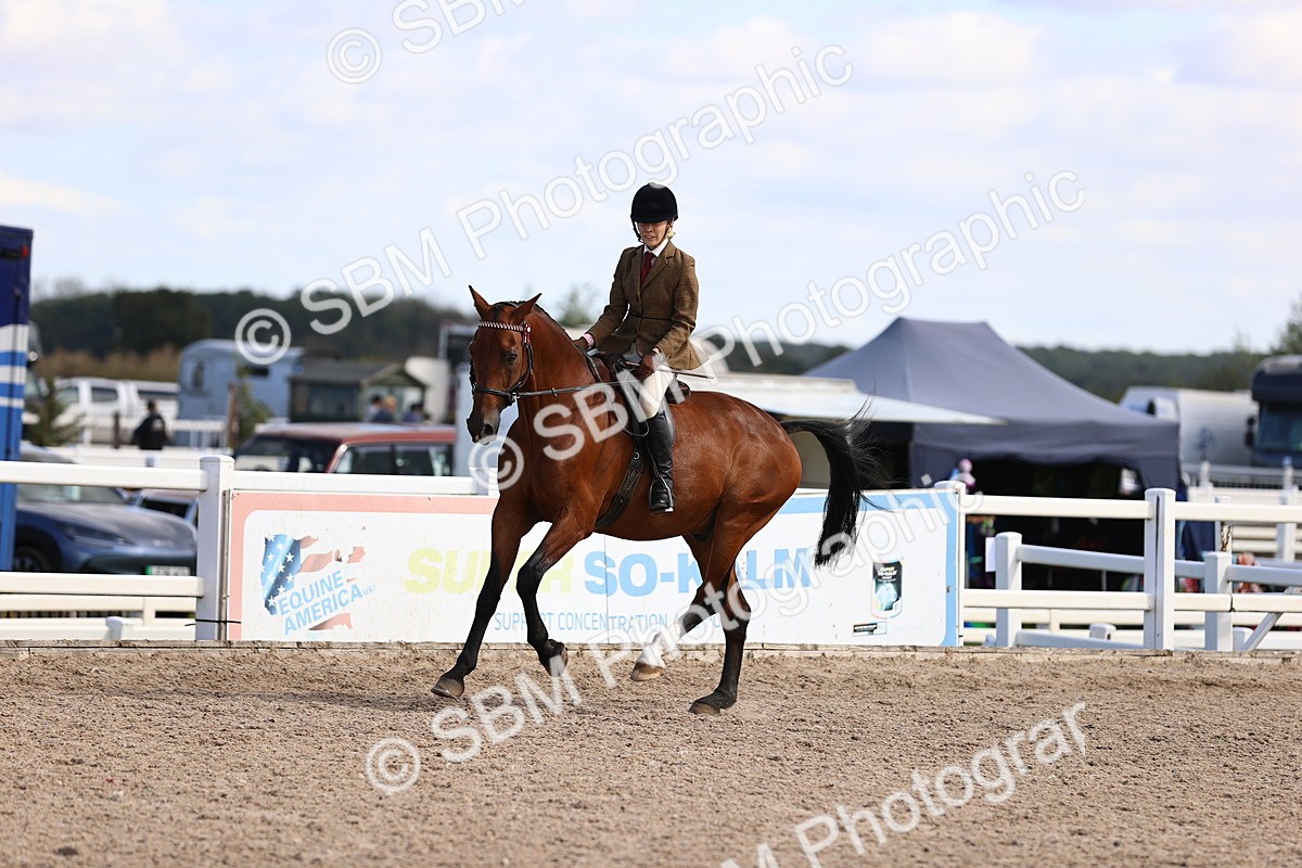 SBM_12970 - Class 410 - Grassroots Ridden - Horse