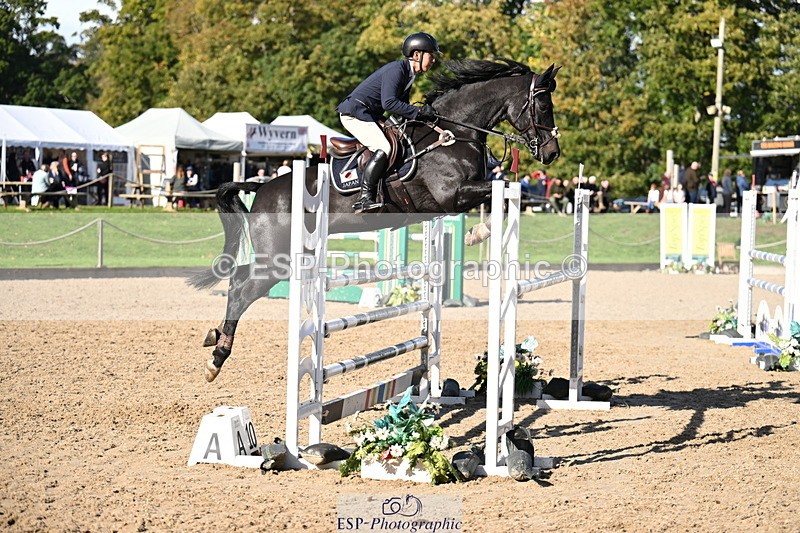 251024A-130519-10582 - C-249-Shoto.Kusumoto