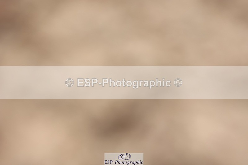 250629-172403-13706 - Cls 30 138cm HOYS Qualifier