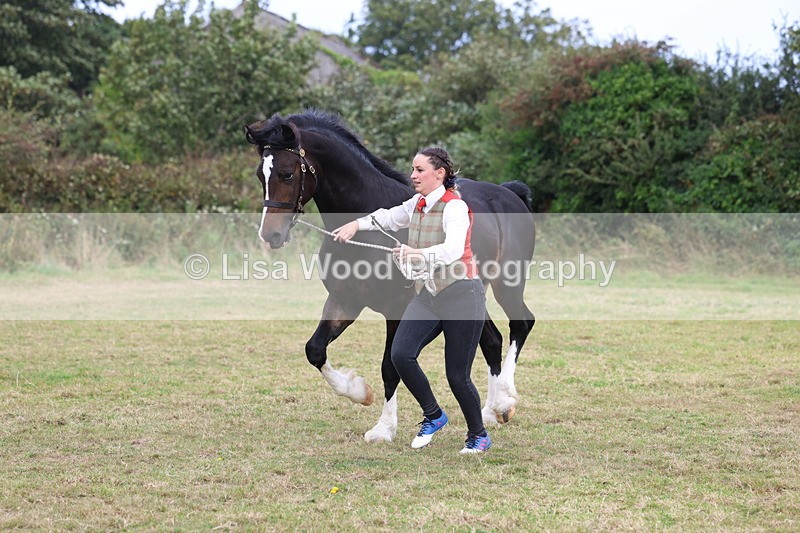 3E7A4232 - Class 15: Two Year Olds