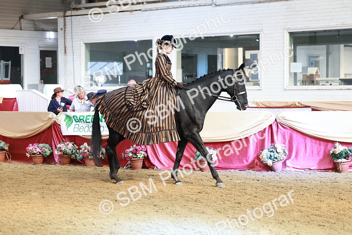 SBM_13403 - Class 104 - Ridden Costume - Astride Junior