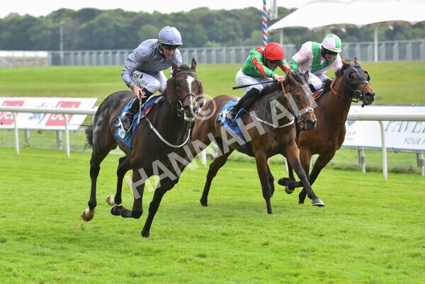 yr11062021r5-13 - Race 5 4.00pm Sky Bet Ganton Stakes
