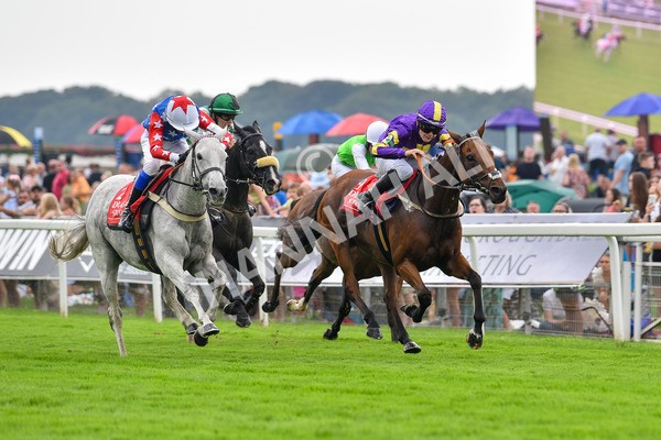 100923-Pony Race 2-Its Fatherted-1693 - Pony Race 2 12.45 The Dragon (TV and Film) Studios Pony Race 148cm & Under