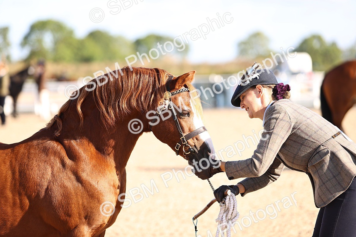 SBM_08483 - Class 402 - IH Veteran Pony